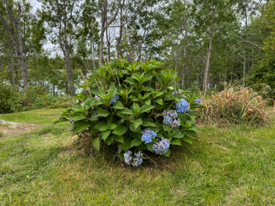 Coastal Home for sale Downeast - Lubec, Maine - image 15