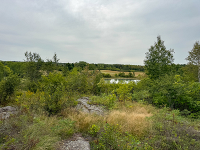 Coastal Home for sale Downeast - Lubec, Maine - image 13