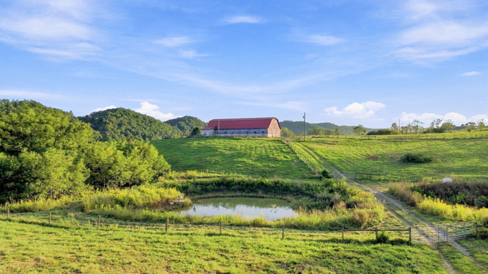 Premier Country Estate for Sale in Meadowview VA!