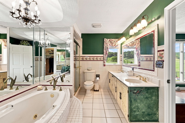 Premier Country Estate for Sale in Meadowview VA!