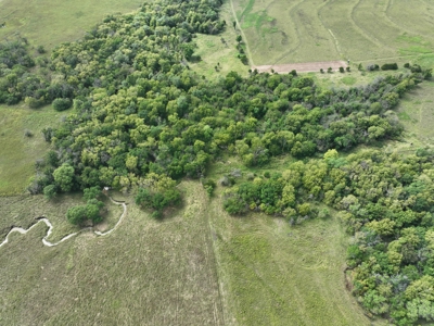 Coffey County Kansas CRP & Recreational 150 - image 15