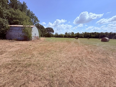 18± Acres 2BR-2BA, Barn, Pasture in Winnsboro Hopkins County TX - image 4