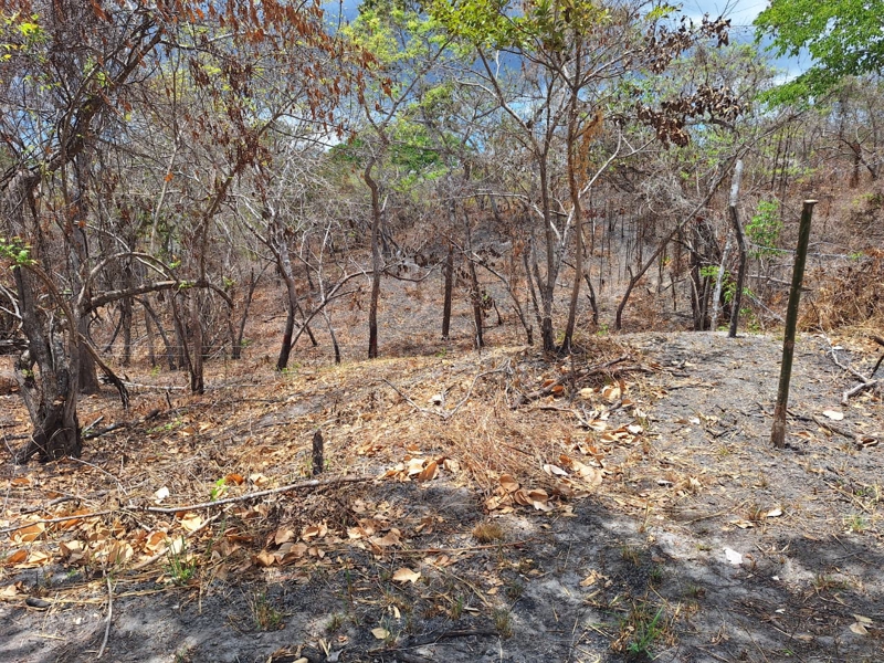 No Caption