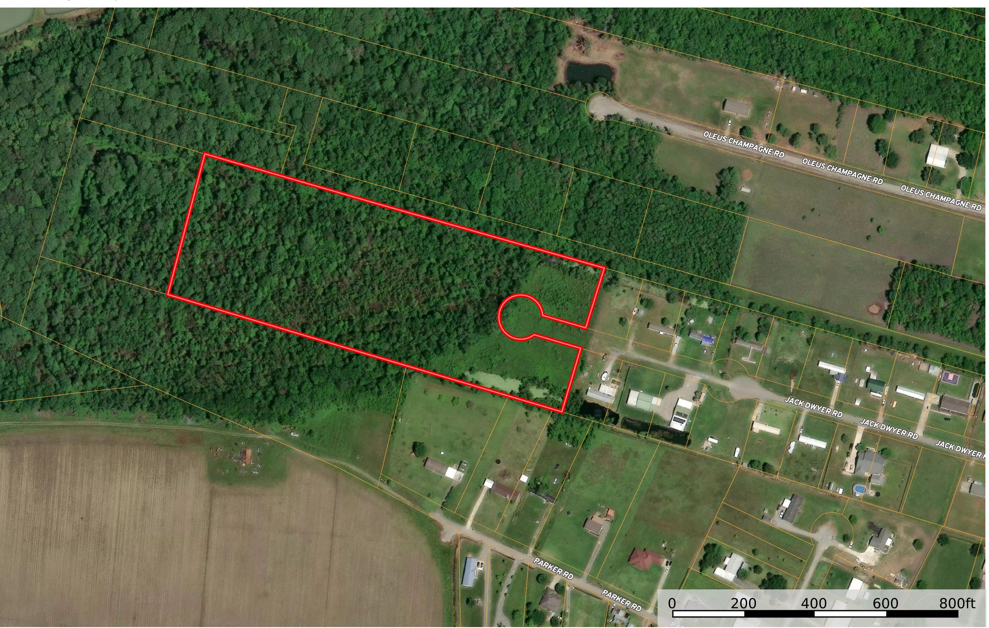 No Description