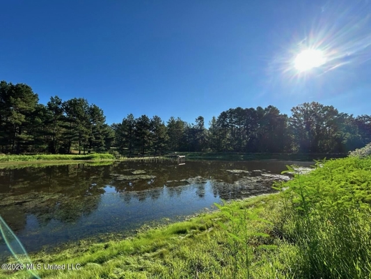 210+/- Acres and Cabin in Franklin County, MS