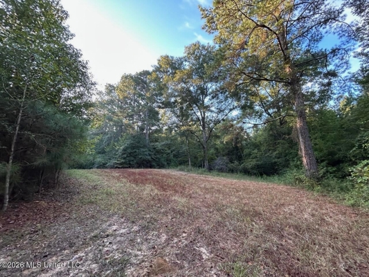 210+/- Acres and Cabin in Franklin County, MS
