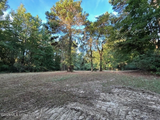 210+/- Acres and Cabin in Franklin County, MS