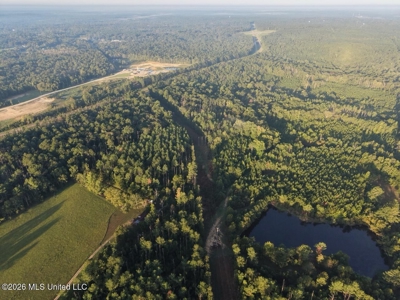 210+/- Acres and Cabin in Franklin County, MS - image 6