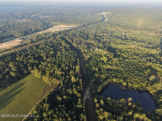 210+/- Acres and Cabin in Franklin County, MS