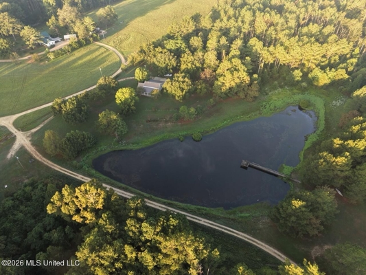 210+/- Acres and Cabin in Franklin County, MS