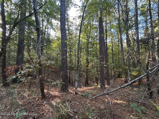 210+/- Acres and Cabin in Franklin County, MS
