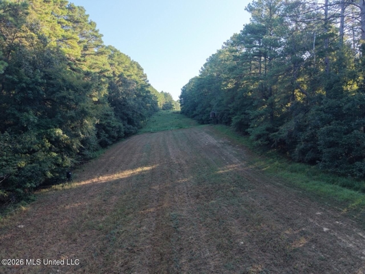 210+/- Acres and Cabin in Franklin County, MS