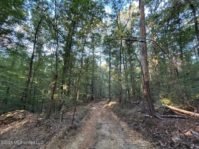 210+/- Acres and Cabin in Franklin County, MS - image 20