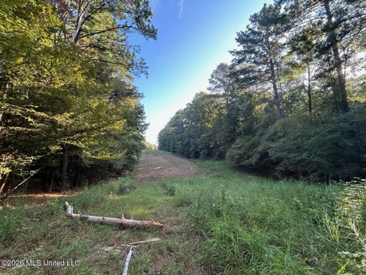 210+/- Acres and Cabin in Franklin County, MS
