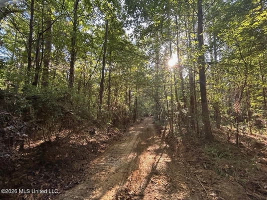 210+/- Acres and Cabin in Franklin County, MS