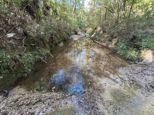 210+/- Acres and Cabin in Franklin County, MS