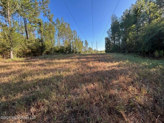210+/- Acres and Cabin in Franklin County, MS