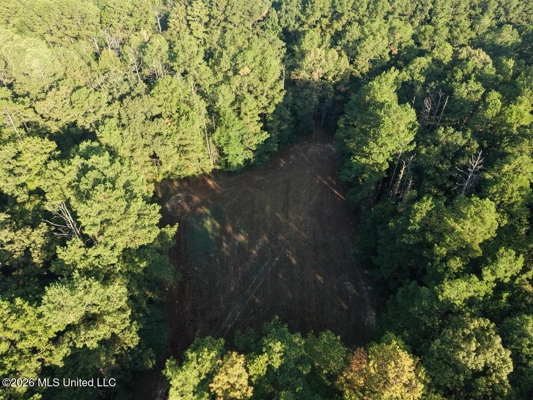 210+/- Acres and Cabin in Franklin County, MS