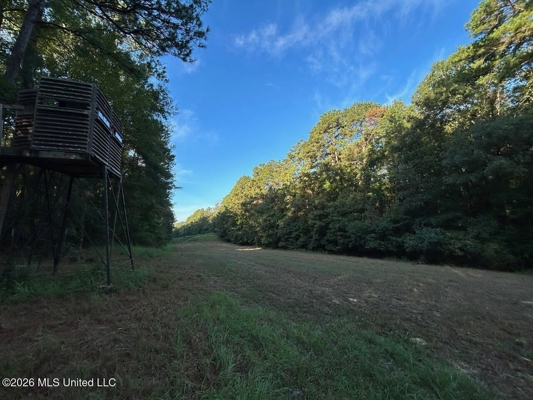 210+/- Acres and Cabin in Franklin County, MS