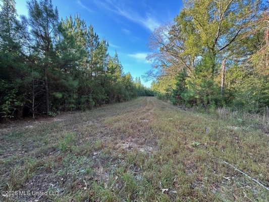 210+/- Acres and Cabin in Franklin County, MS