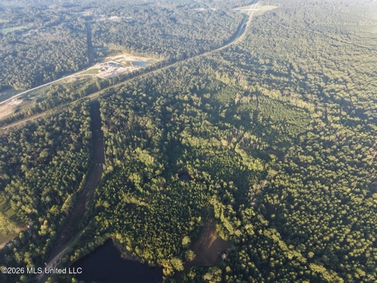 210+/- Acres and Cabin in Franklin County, MS