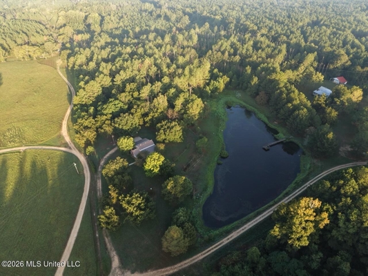 210+/- Acres and Cabin in Franklin County, MS