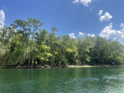 Buildable River Front Paradise for Sale - image 6