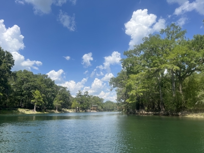 Buildable River Front Paradise for Sale - image 2