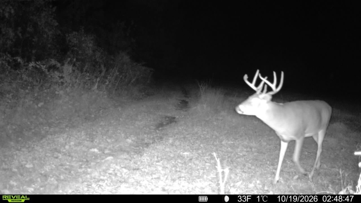 52 Acres of Trophy Whitetail Deer Hunting in Columbia County WI