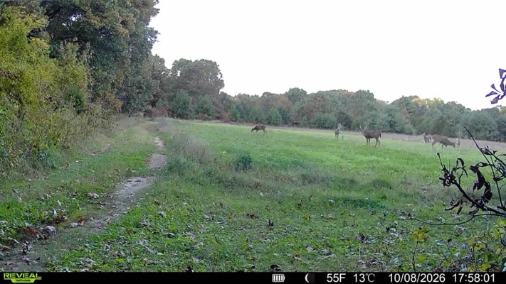52 Acres of Trophy Whitetail Deer Hunting in Columbia County WI