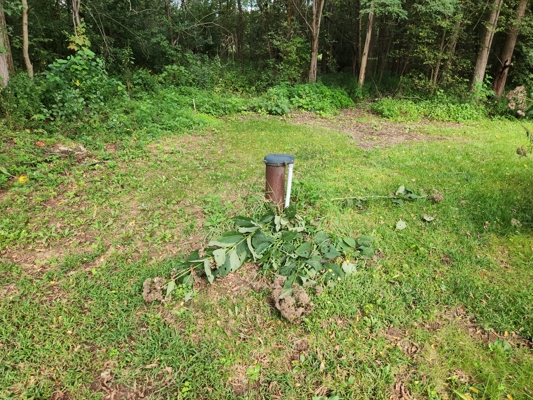 52 Acres of Trophy Whitetail Deer Hunting in Columbia County WI