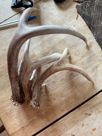 Listing 6