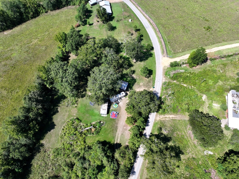 No Caption