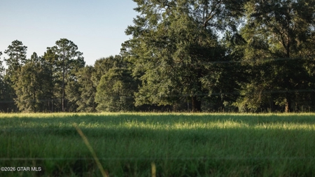 Golden Pines Ranch - 96 Acres - Stone County MS - image 32