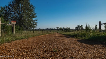 Golden Pines Ranch - 96 Acres - Stone County MS - image 34