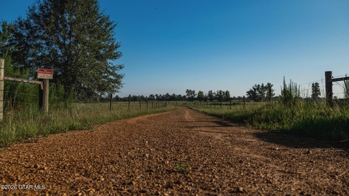 Golden Pines Ranch - 96 Acres - Stone County MS