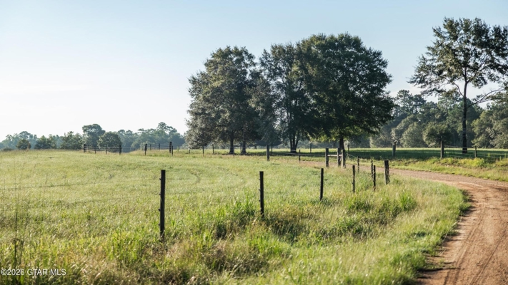 Golden Pines Ranch - 96 Acres - Stone County MS