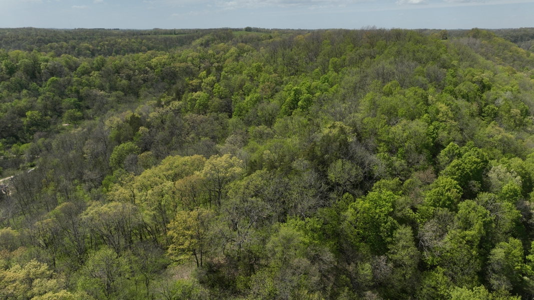 No Caption