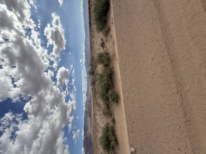 No Caption