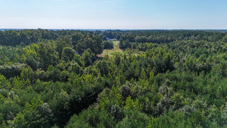 24.4 Acres of Land, Opportunity & Potential in Southern VA - image 5