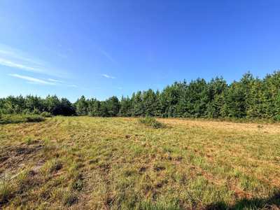 24.4 Acres of Land, Opportunity & Potential in Southern VA - image 26