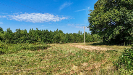 24.4 Acres of Land, Opportunity & Potential in Southern VA - image 20