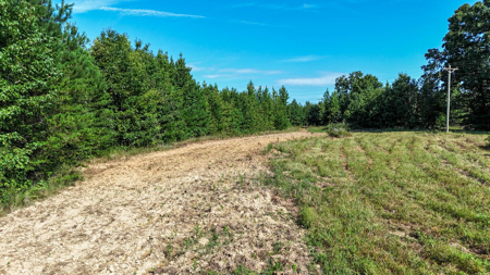 24.4 Acres of Land, Opportunity & Potential in Southern VA - image 12