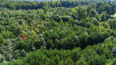 24.4 Acres of Land, Opportunity & Potential in Southern VA - image 4