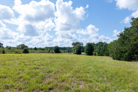 Horse Ranch for Sale | 18.72 Acres Arena Hunting Land Near Athens - image 25