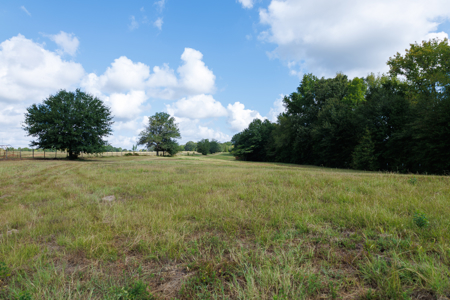 Horse Ranch for Sale | 18.72 Acres Arena Hunting Land Near Athens - image 24
