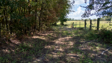Horse Ranch for Sale | 18.72 Acres Arena Hunting Land Near Athens - image 15