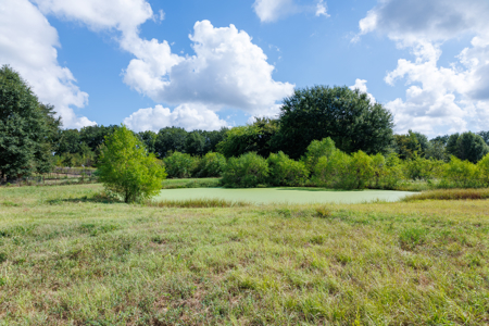 Horse Ranch for Sale | 18.72 Acres Arena Hunting Land Near Athens - image 13
