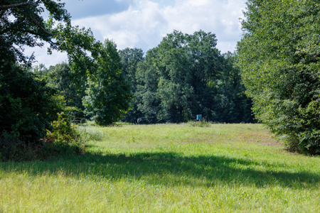Horse Ranch for Sale | 18.72 Acres Arena Hunting Land Near Athens - image 22