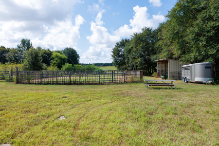 Horse Ranch for Sale | 18.72 Acres Arena Hunting Land Near Athens - image 11